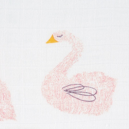 3 langes 80x80 Little Water Swan