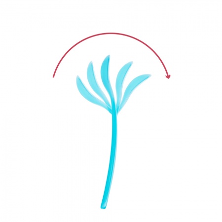 Cuilleres souples Fun Colors x5 