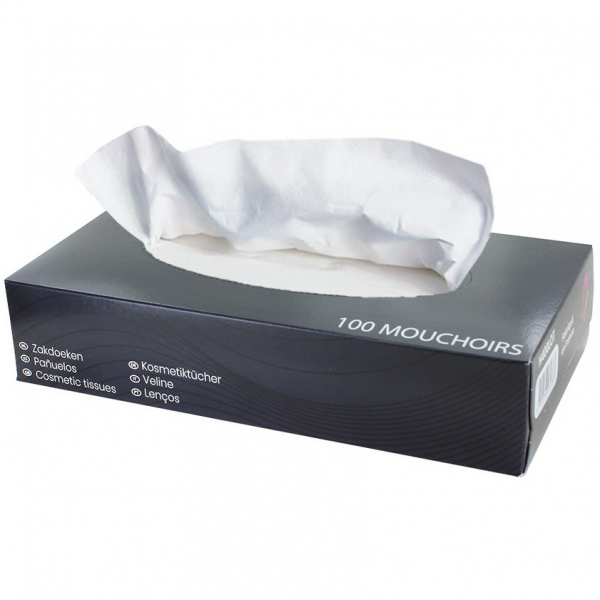 Mouchoirs Papier 2 plis Ouatinelle Boite de 100
