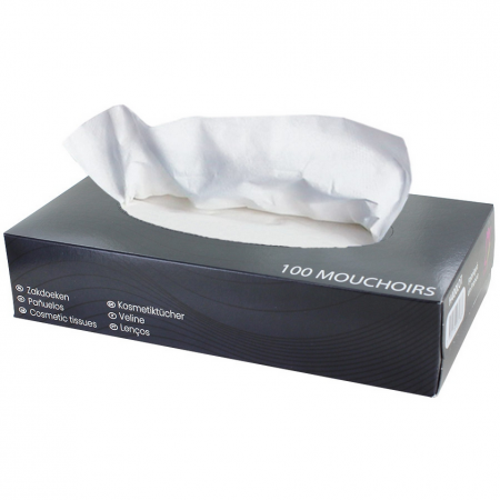 Mouchoirs Papier 2 plis Ouatinelle Boite de 100